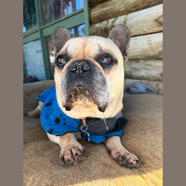 Photo of Gus