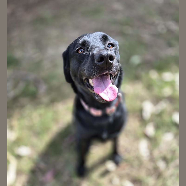 Photo of Emery
