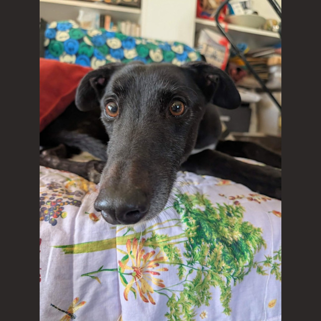 Photo of Arthur
