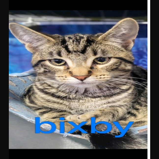 Photo of Bixby