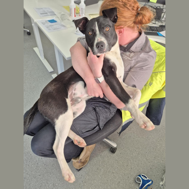 Photo of Kenny! 🤍🖤