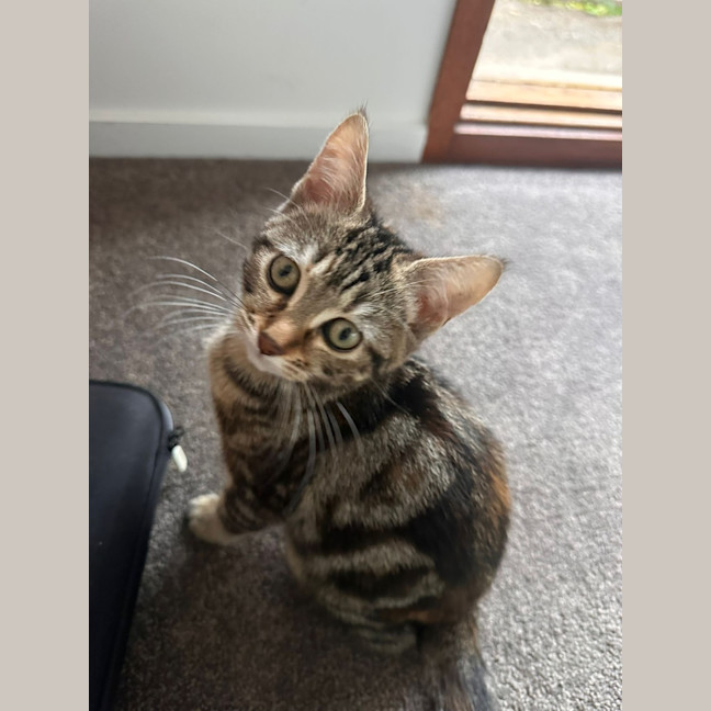Photo of Delilah