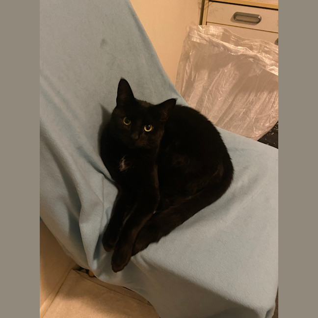 Photo of Salem