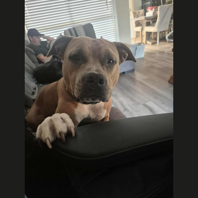 Photo of Tilly