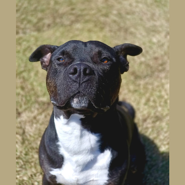 Photo of Jaxx