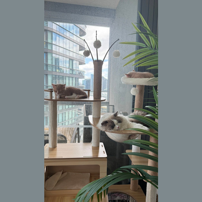 Photo of Maui & Wowie