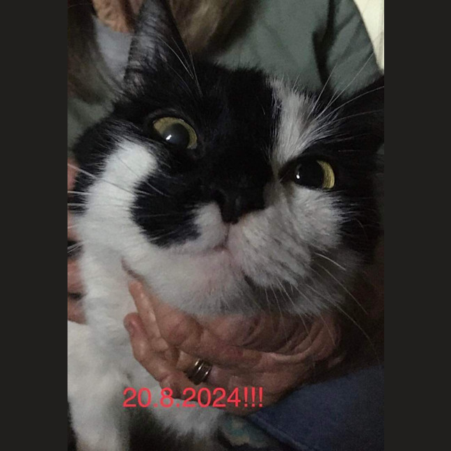 Photo of Oreo💗