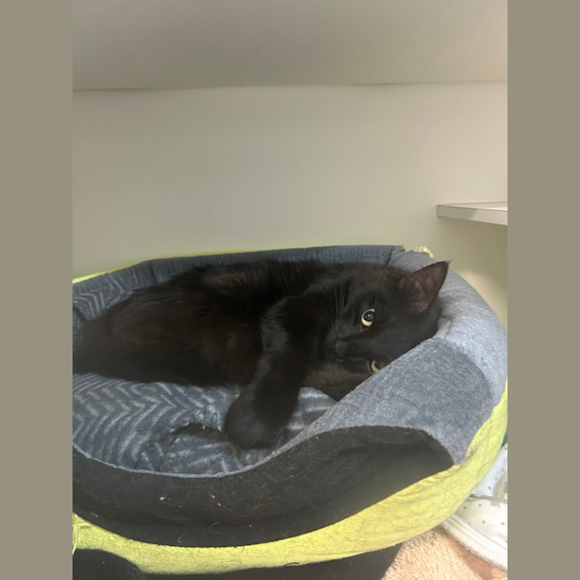 Photo of Count Scratchula