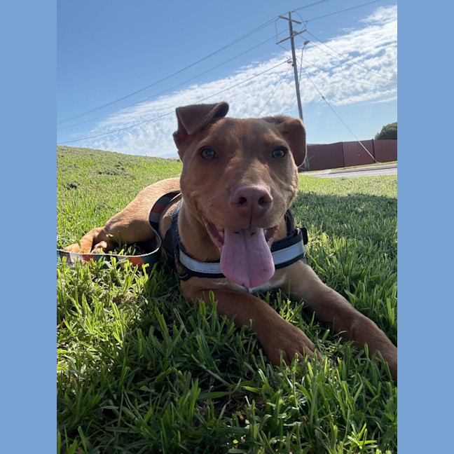 Photo of Benny