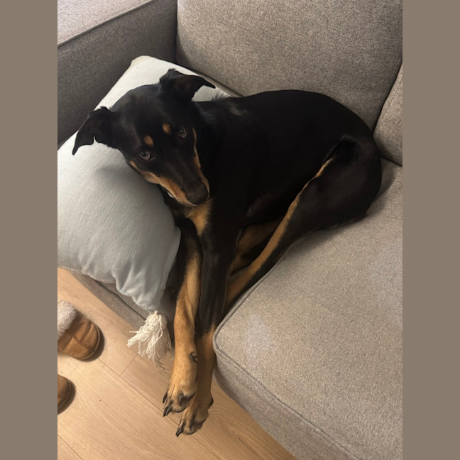 Photo of Ruby