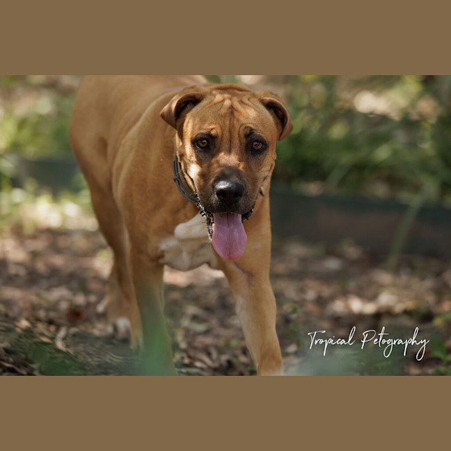 Photo of Ruby