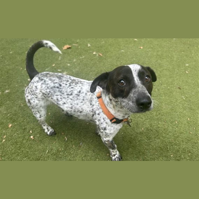 Photo of Jack