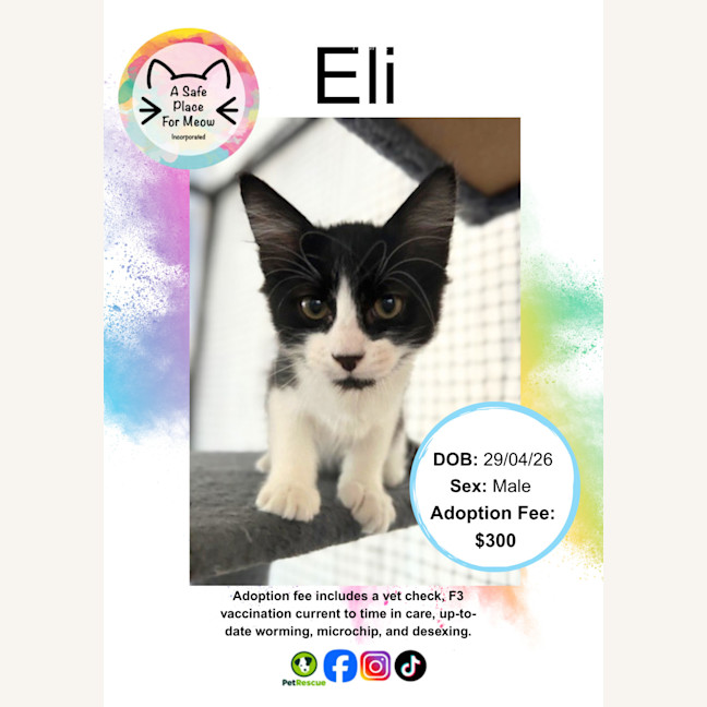 Photo of Eli