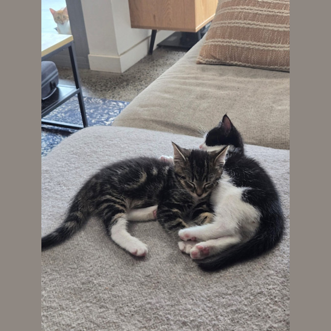 Photo of Harold & Gunther