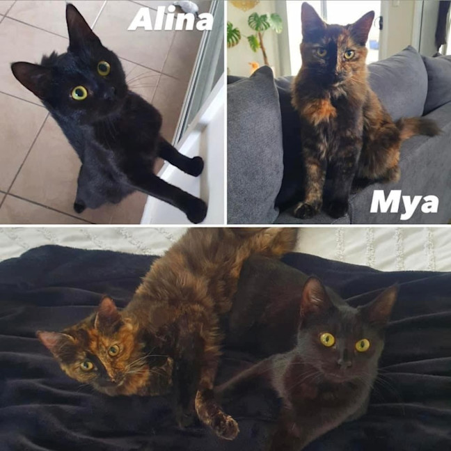 Photo of 11089/90   Mya & Alina