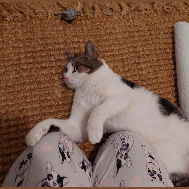Photo of Bub