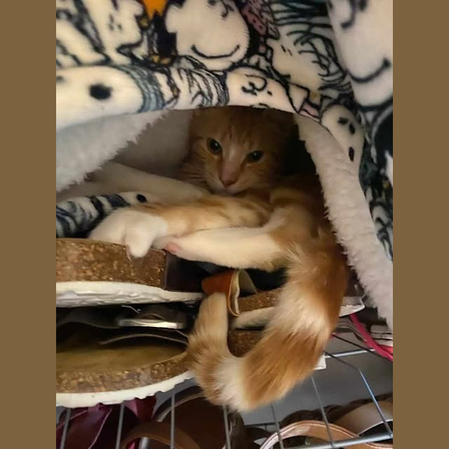 Photo of Buzz