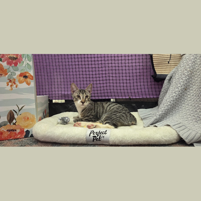 Photo of Buster