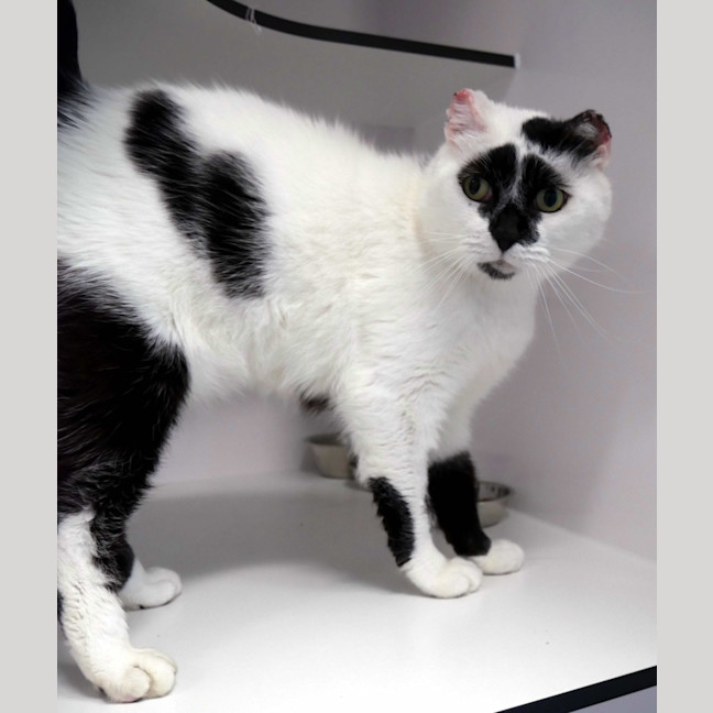 Photo of Frank Rsta011081