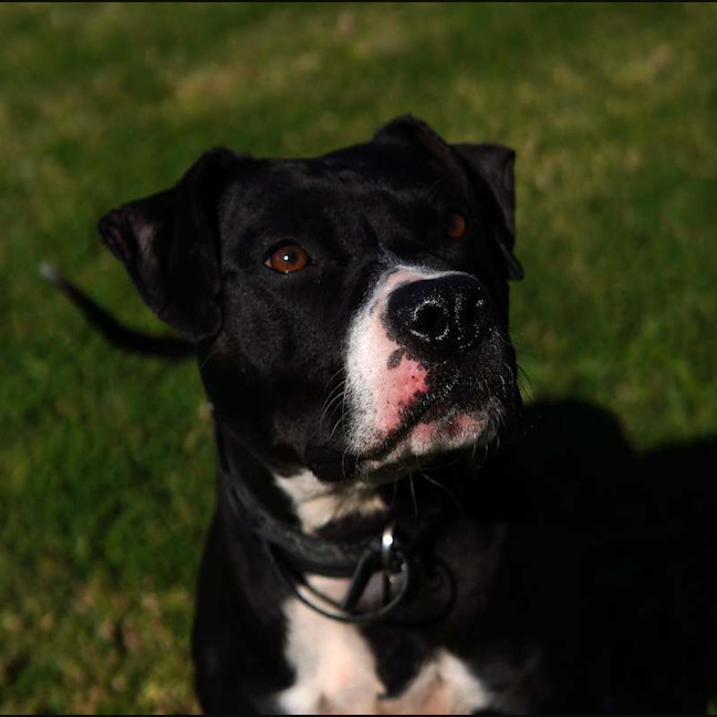 Photo of Rogan