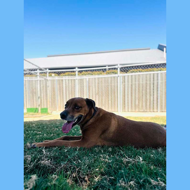 Photo of Dudley