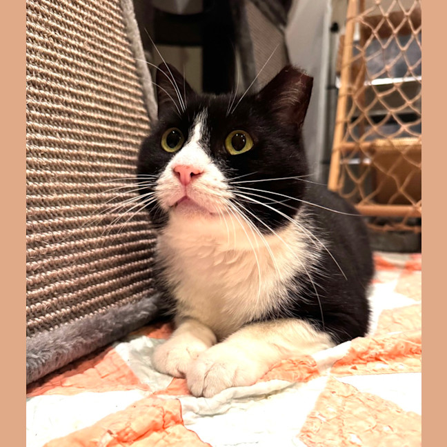 Photo of Gatsby 🌟