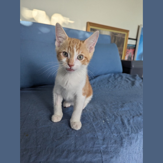 Photo of Stanley Golden