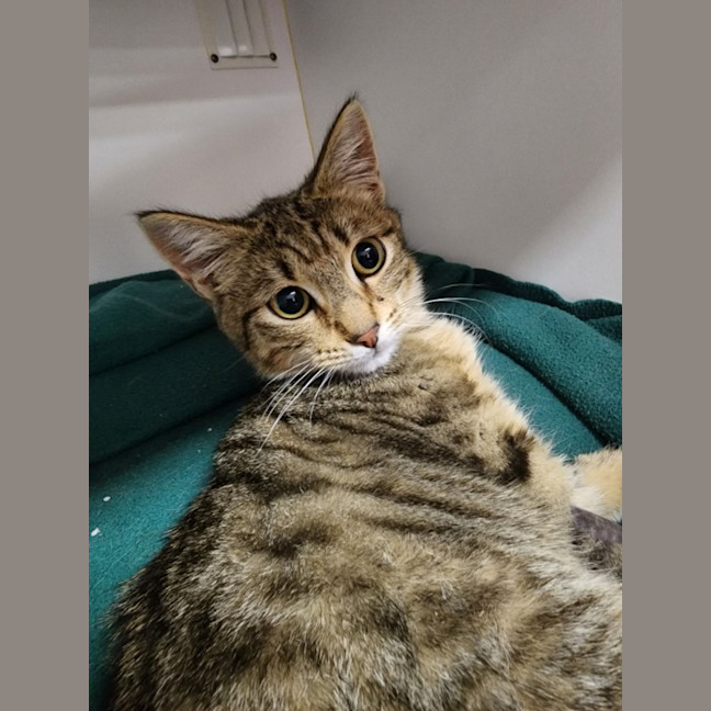 Photo of Keith Urban