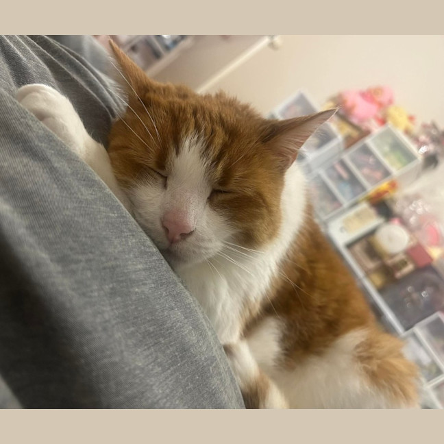 Photo of Charlie 