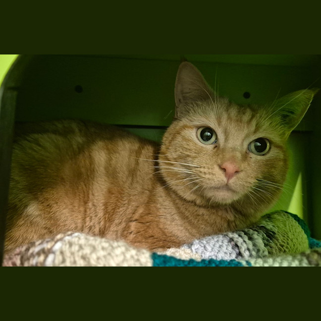 Photo of Philip J Fry 