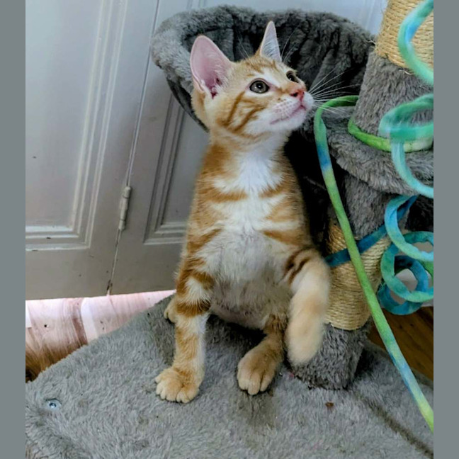 Photo of Hamish