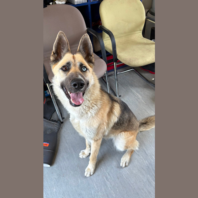 Photo of Athena