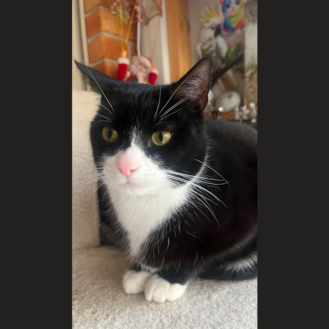 Photo of Thomas
