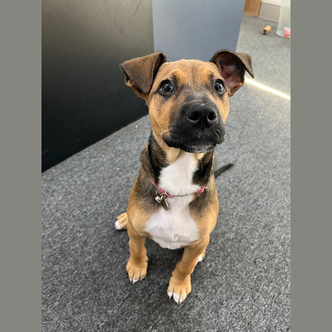 Photo of Matilda