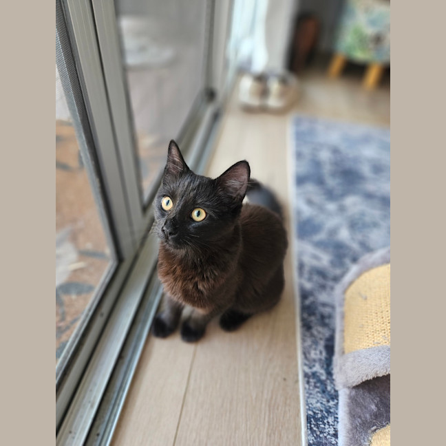 Photo of Cleo