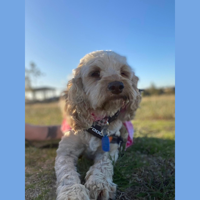 Photo of Bessie