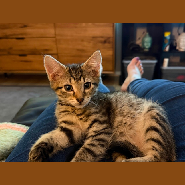 Photo of Rosie