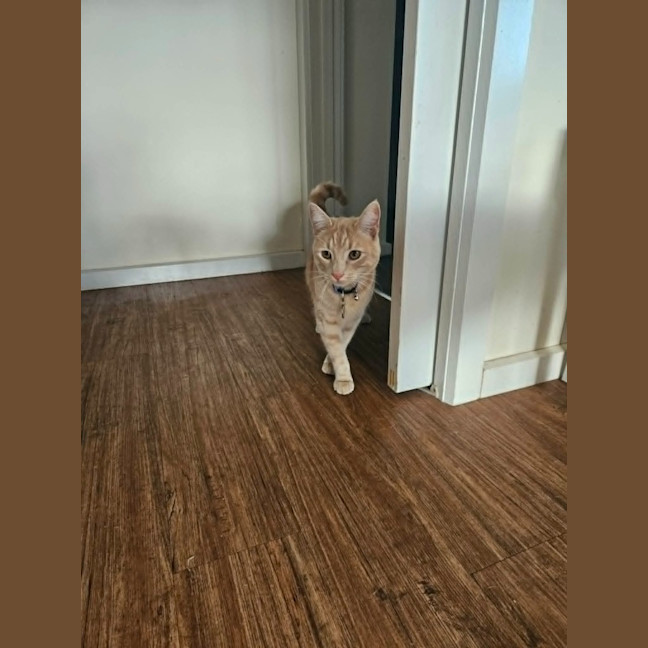 Photo of Milo