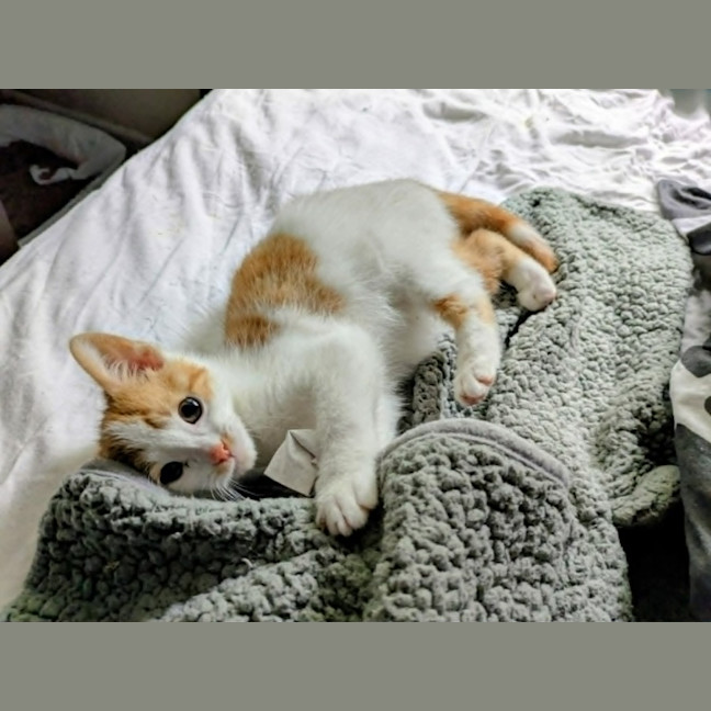 Photo of Salsa