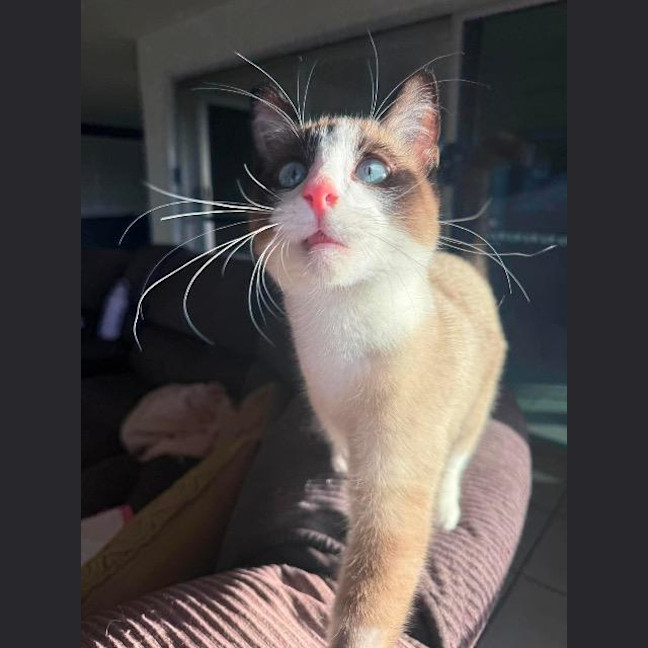 Photo of Sebastian