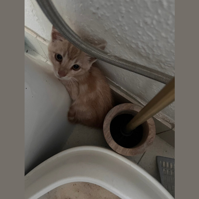 Photo of Monty