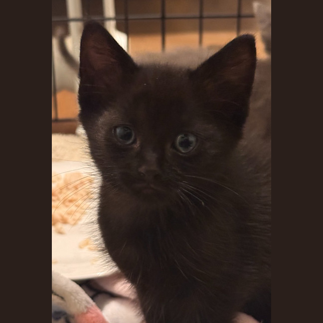 Photo of Cinder Cloud