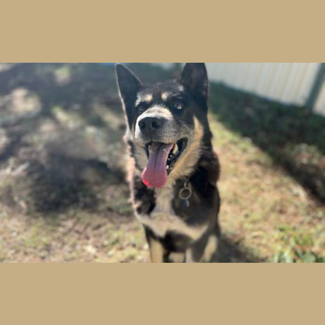Photo of Maximus