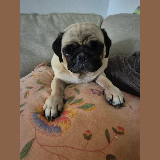 Photo of Stuey