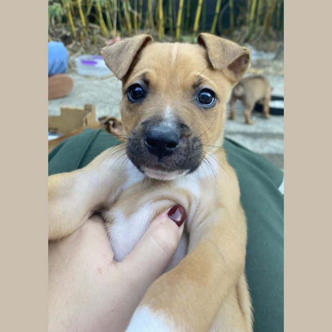 Photo of Patch