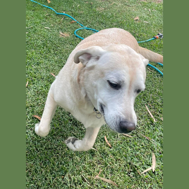 Photo of Sally