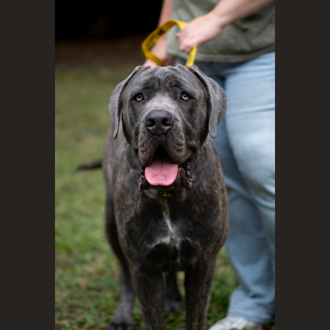 Photo of Zeus