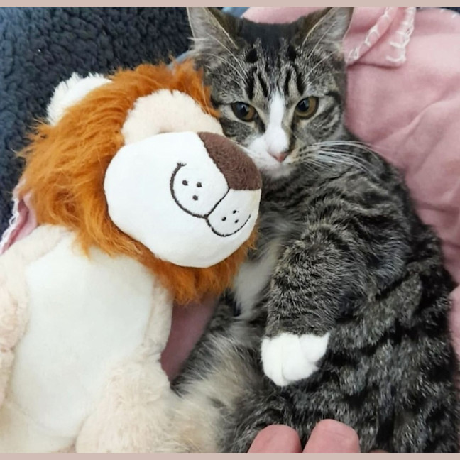 Photo of Tabitha 