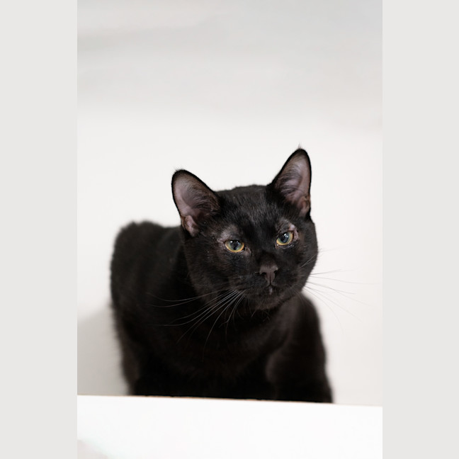 Photo of Storm
