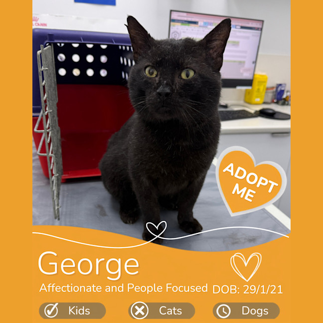 Photo of George